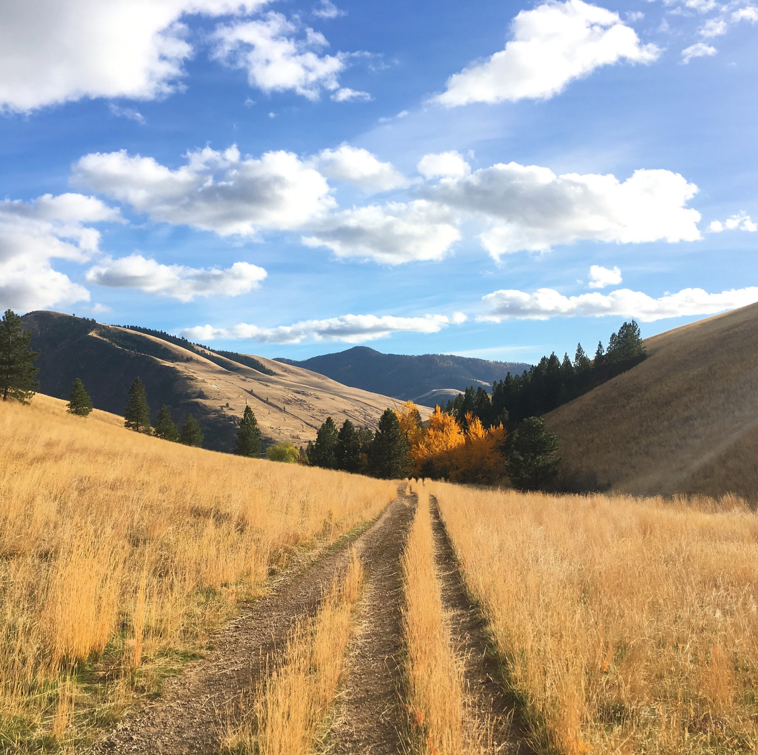 Missoula Montana Trail